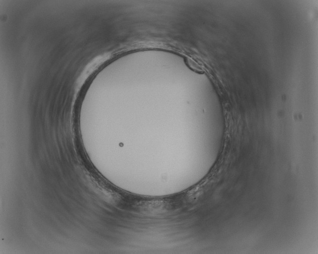 X0000073990104200609111543