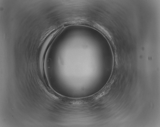 X0000073990105200609111543