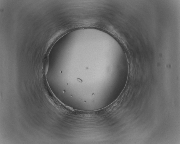 X0000073990107200609111543