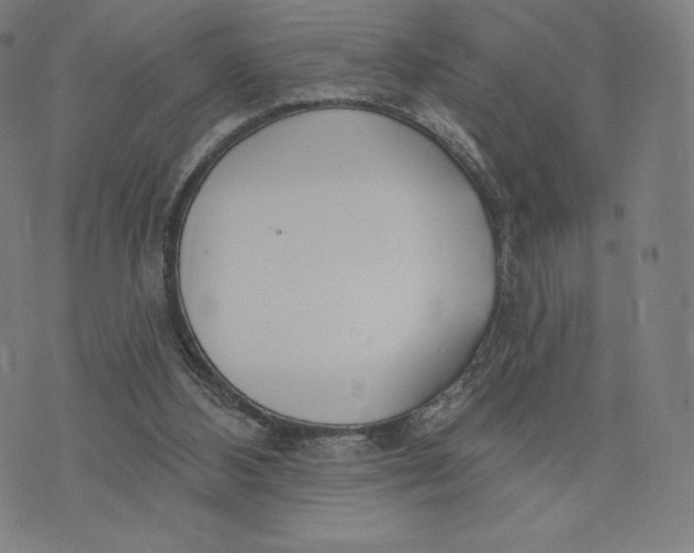 X0000073990108200609111543