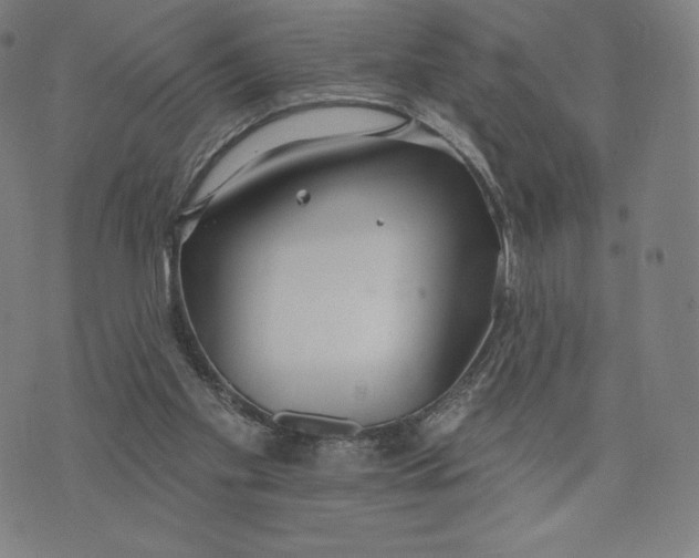 X0000073990109200609111543