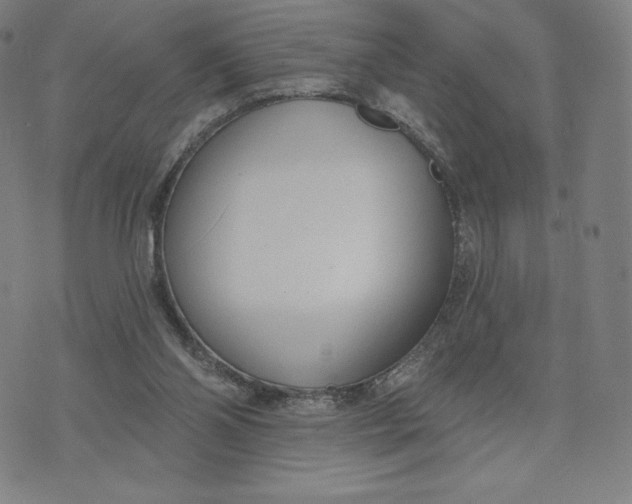 X0000073990110200609111543