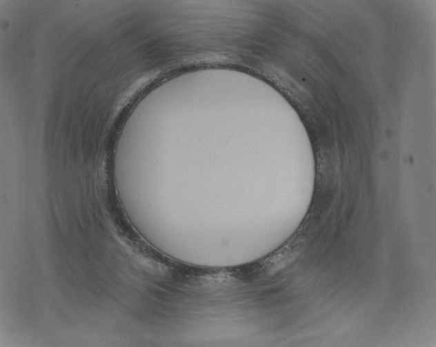 X0000073990112200609111543