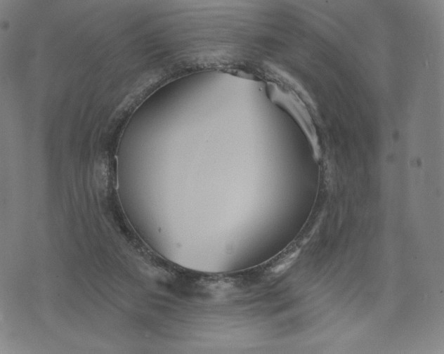 X0000073990113200609111543