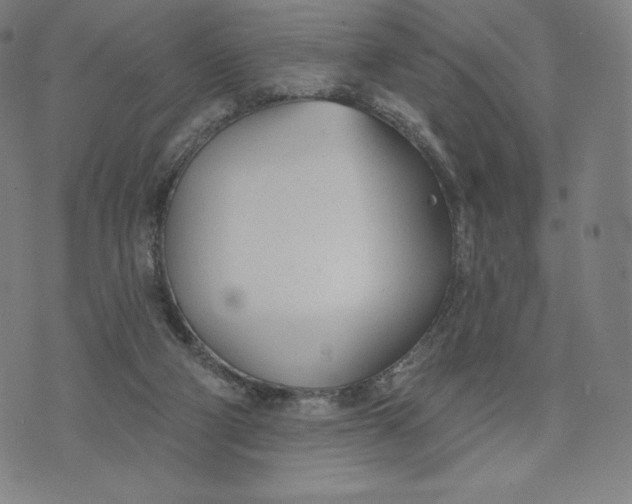 X0000073990114200609111543