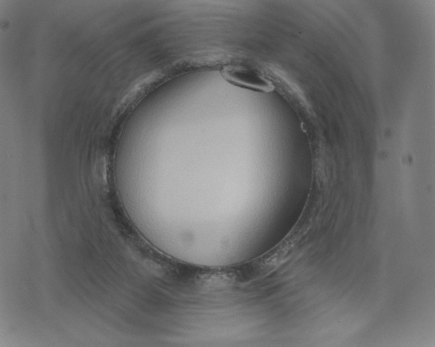 X0000073990115200609111543