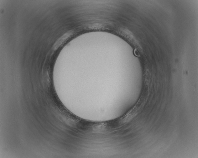 X0000073990116200609111543