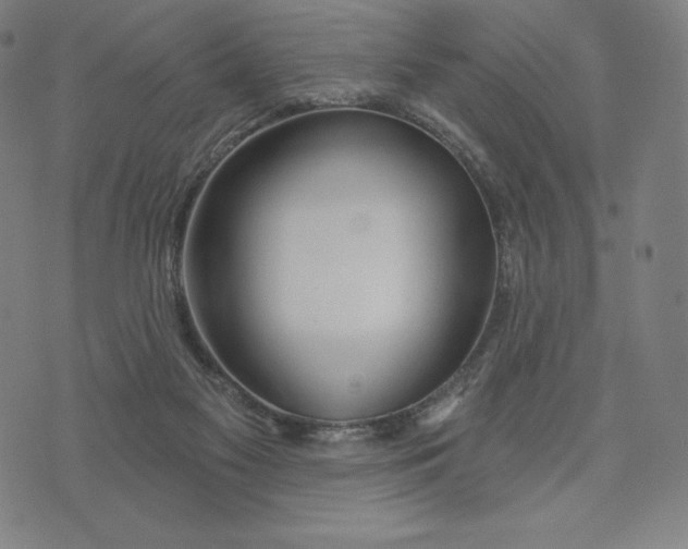 X0000073990117200609111543