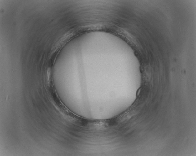 X0000073990118200609111543