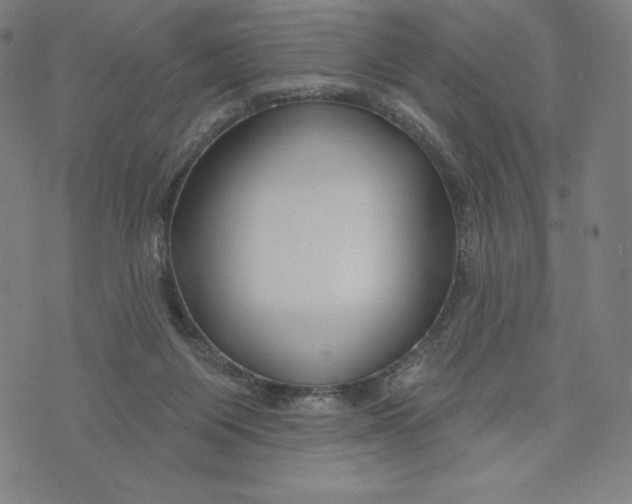 X0000073990119200609111543