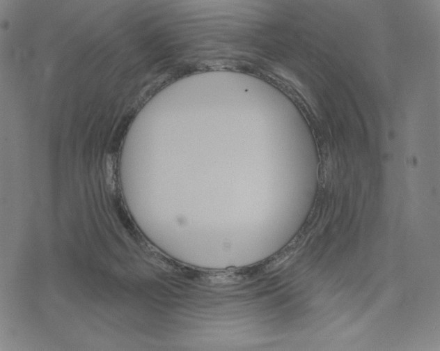 X0000073990121200609111543