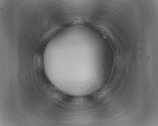 X0000073990123200609111543