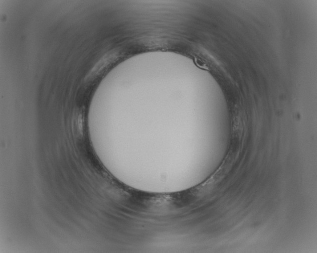 X0000073990124200609111543