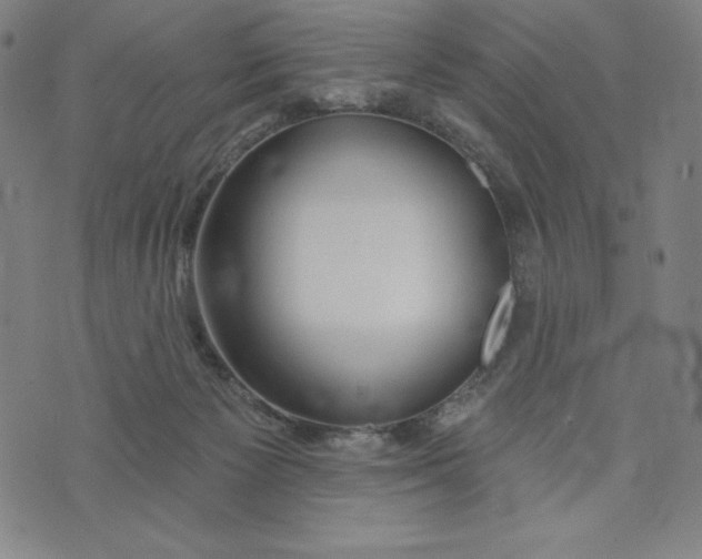 X0000073990125200609111543