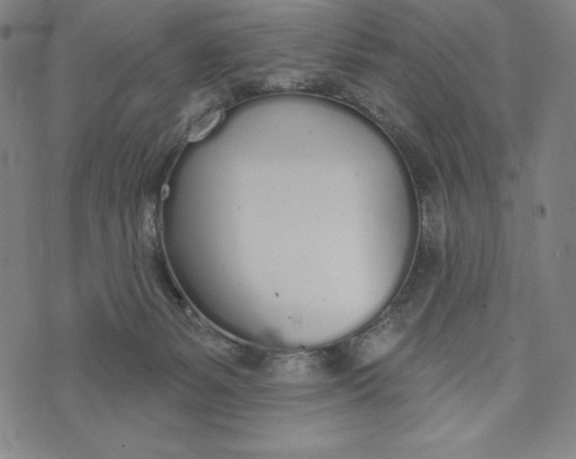 X0000073990127200609111543