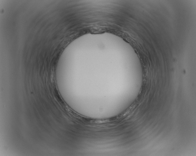 X0000073990129200609111543