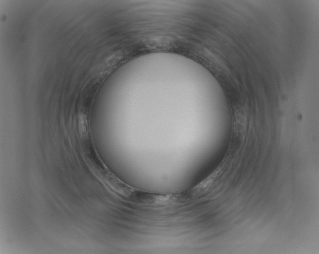 X0000073990130200609111543