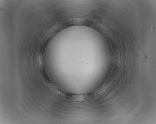 X0000073990131200609111543