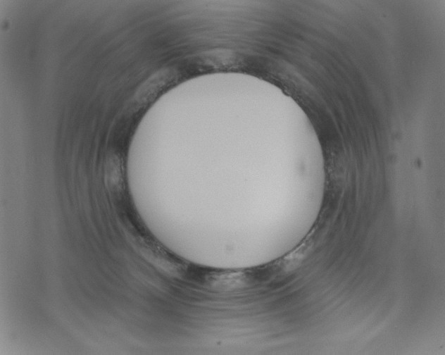 X0000073990132200609111543