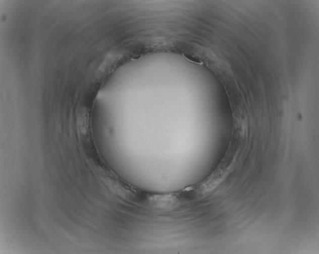 X0000073990133200609111543