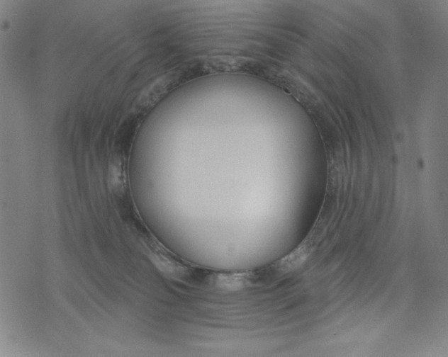 X0000073990134200609111543