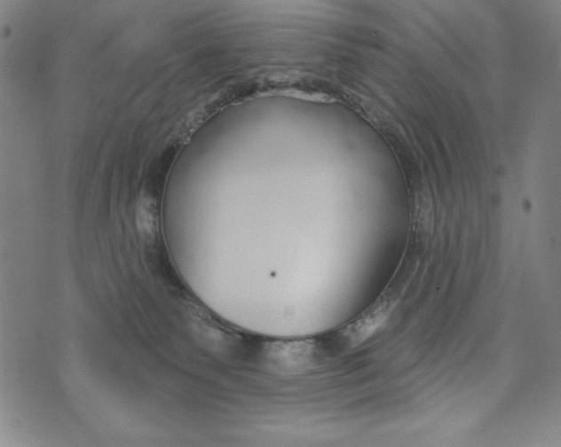 X0000073990135200609111543