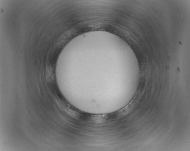 X0000073990136200609111543