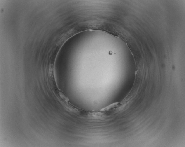 X0000073990137200609111543