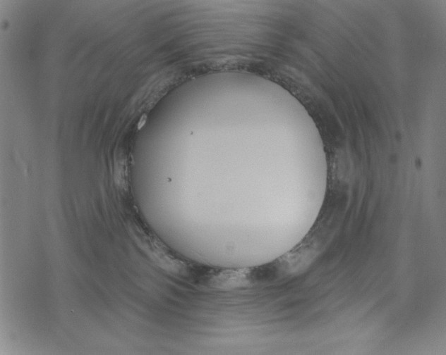 X0000073990138200609111543