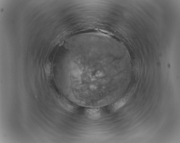 X0000073990139200609111542