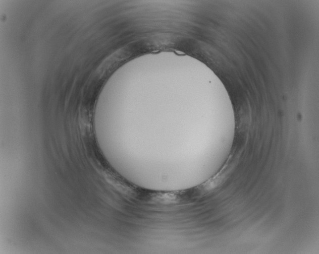 X0000073990140200609111542