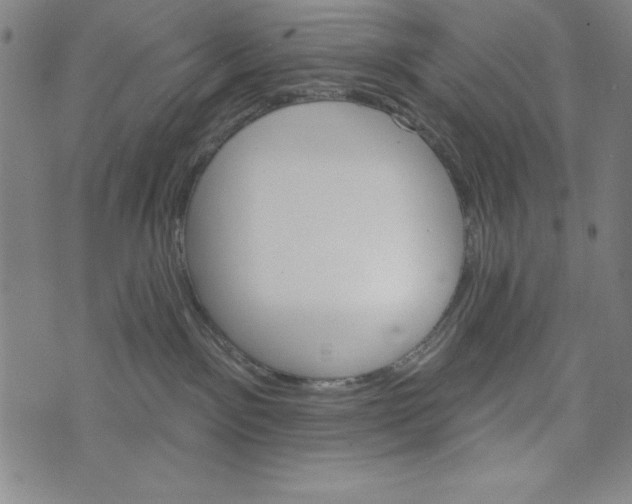 X0000073990141200609111542