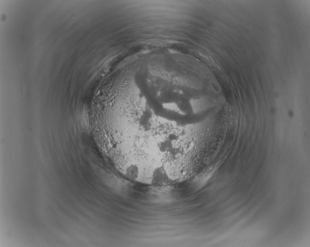 X0000073990143200609111542