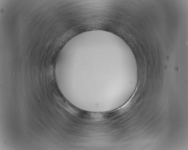 X0000073990144200609111542