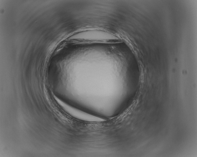 X0000073990145200609111542