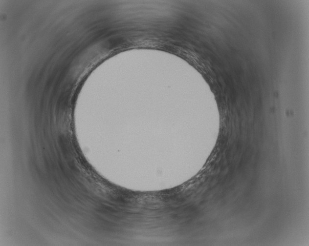 X0000073990146200609111542