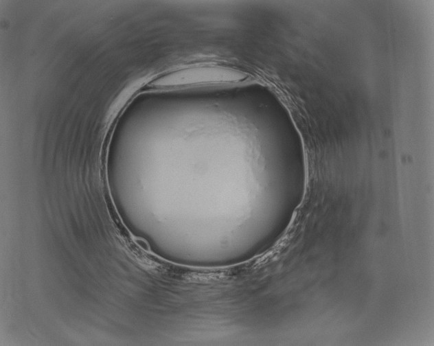 X0000073990147200609111542