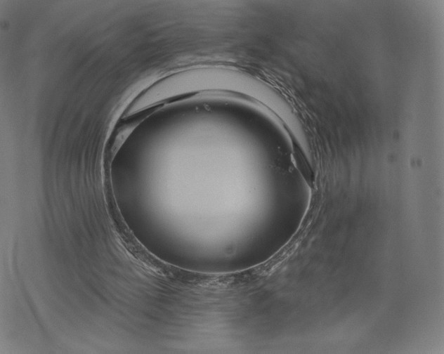 X0000073990148200609111542