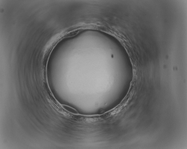 X0000073990149200609111542