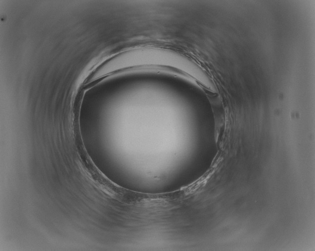 X0000073990150200609111542