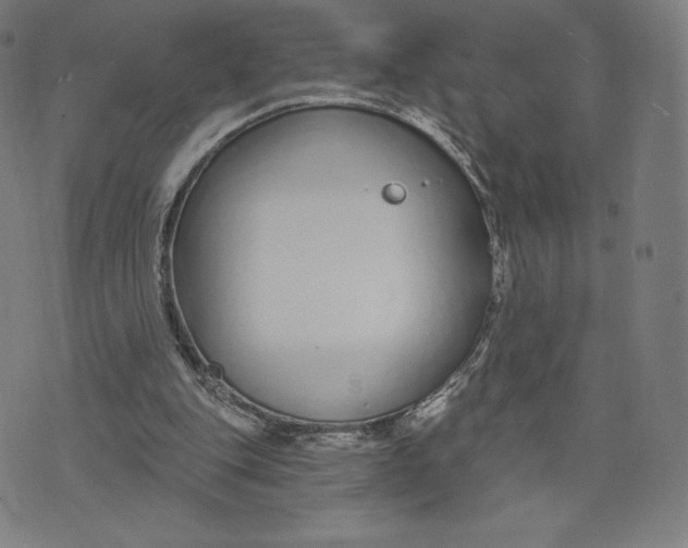 X0000073990151200609111542