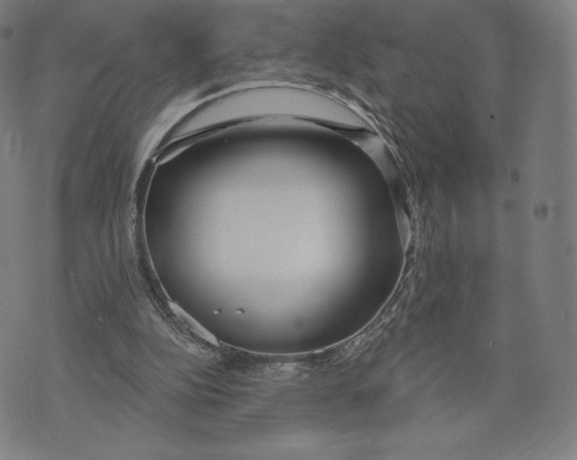 X0000073990152200609111542