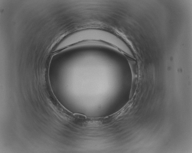 X0000073990154200609111542