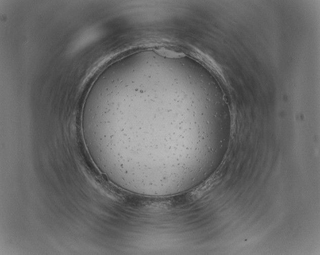 X0000073990155200609111542