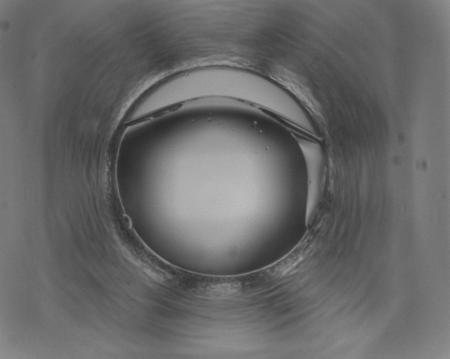 X0000073990156200609111542