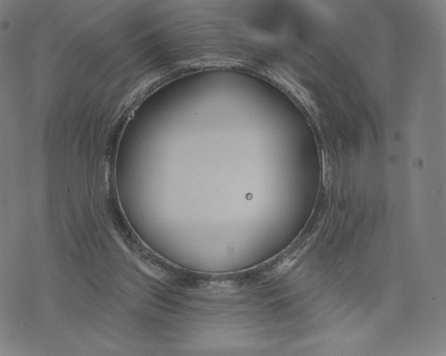 X0000073990157200609111542