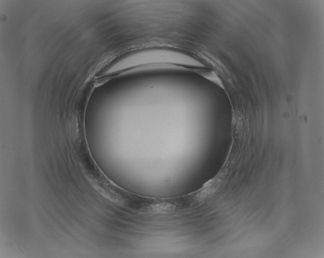 X0000073990158200609111542