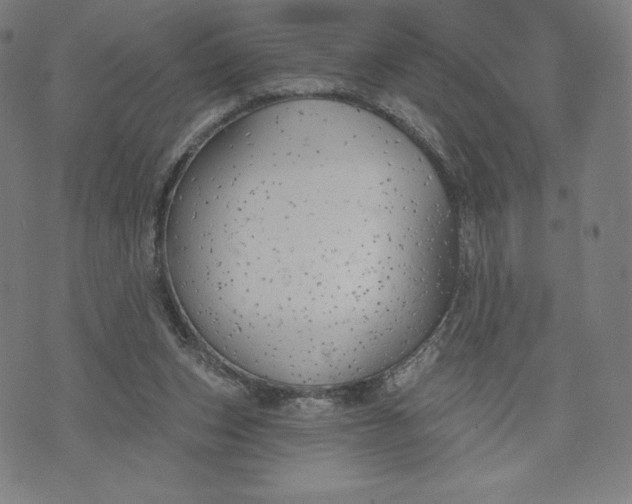 X0000073990159200609111542