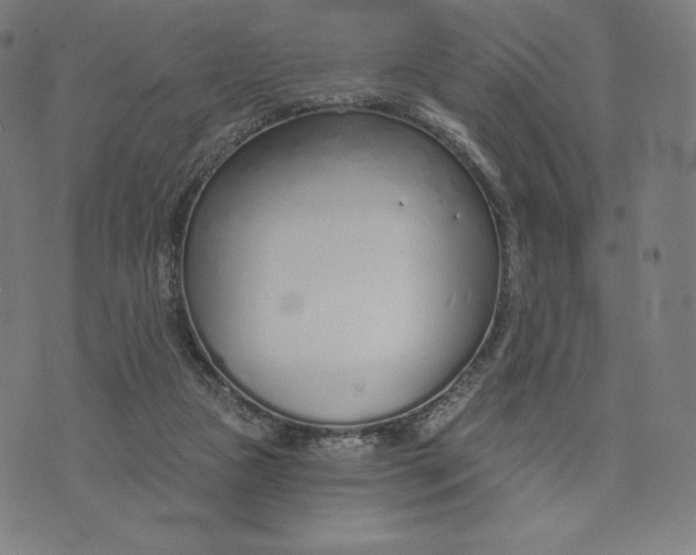 X0000073990161200609111542