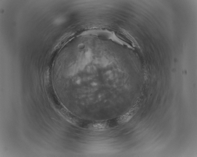 X0000073990163200609111542